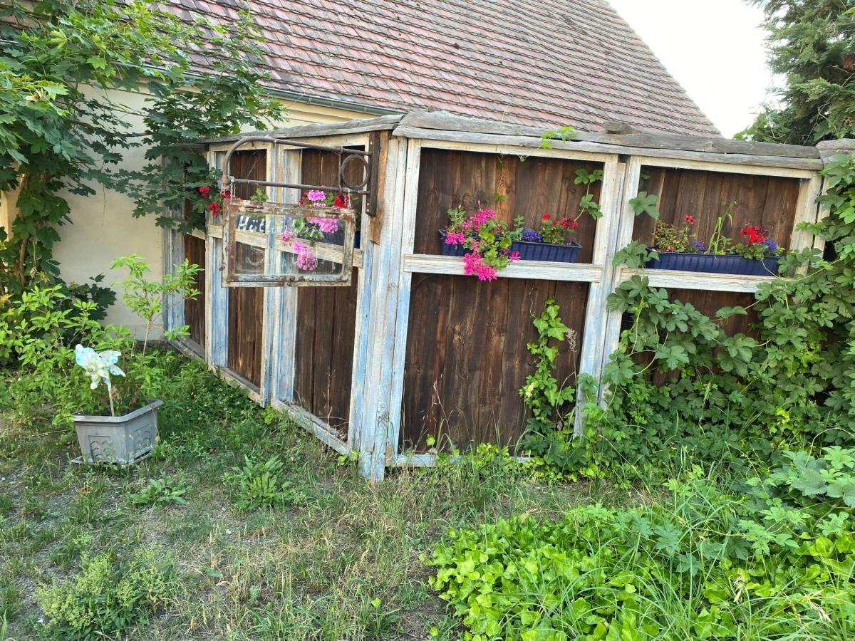 Ostsee Radlerpension Peitz Exteriör bild